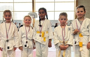 Tournoi de Cour-Cheverny (22/03/26)