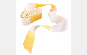 Tournoi mini-poussins de St Laurent