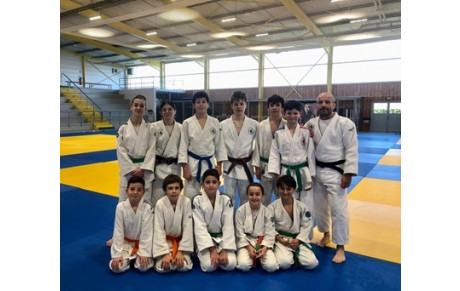Stage de Judo à Saint-marcel (71)