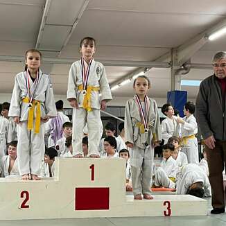 TOURNOI DES PETITS LOUPS DU BLOIS JUDO