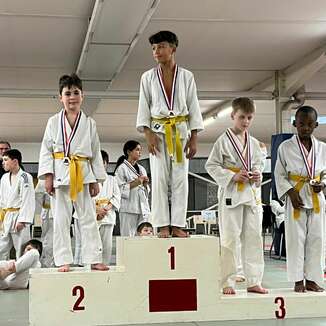 TOURNOI DES PETITS LOUPS DU BLOIS JUDO