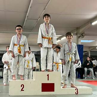 TOURNOI DES PETITS LOUPS DU BLOIS JUDO