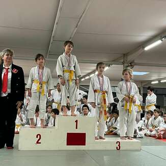 TOURNOI DES PETITS LOUPS DU BLOIS JUDO