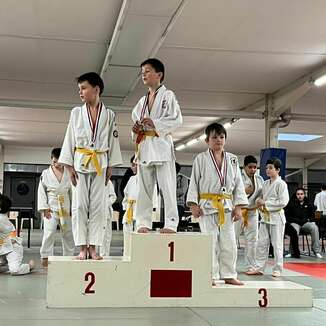 TOURNOI DES PETITS LOUPS DU BLOIS JUDO